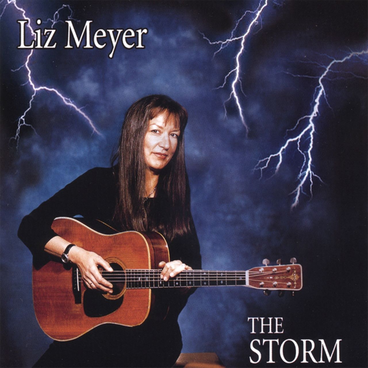 Liz Meyer - The Storm cover album
