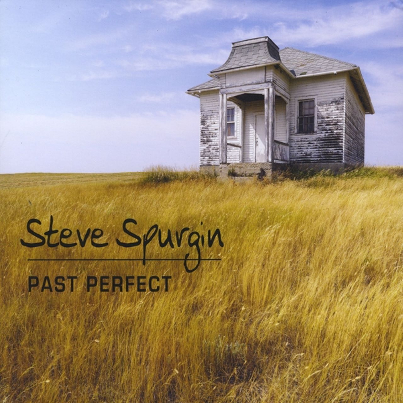 Steve Spurgin - Past Perfect cover album