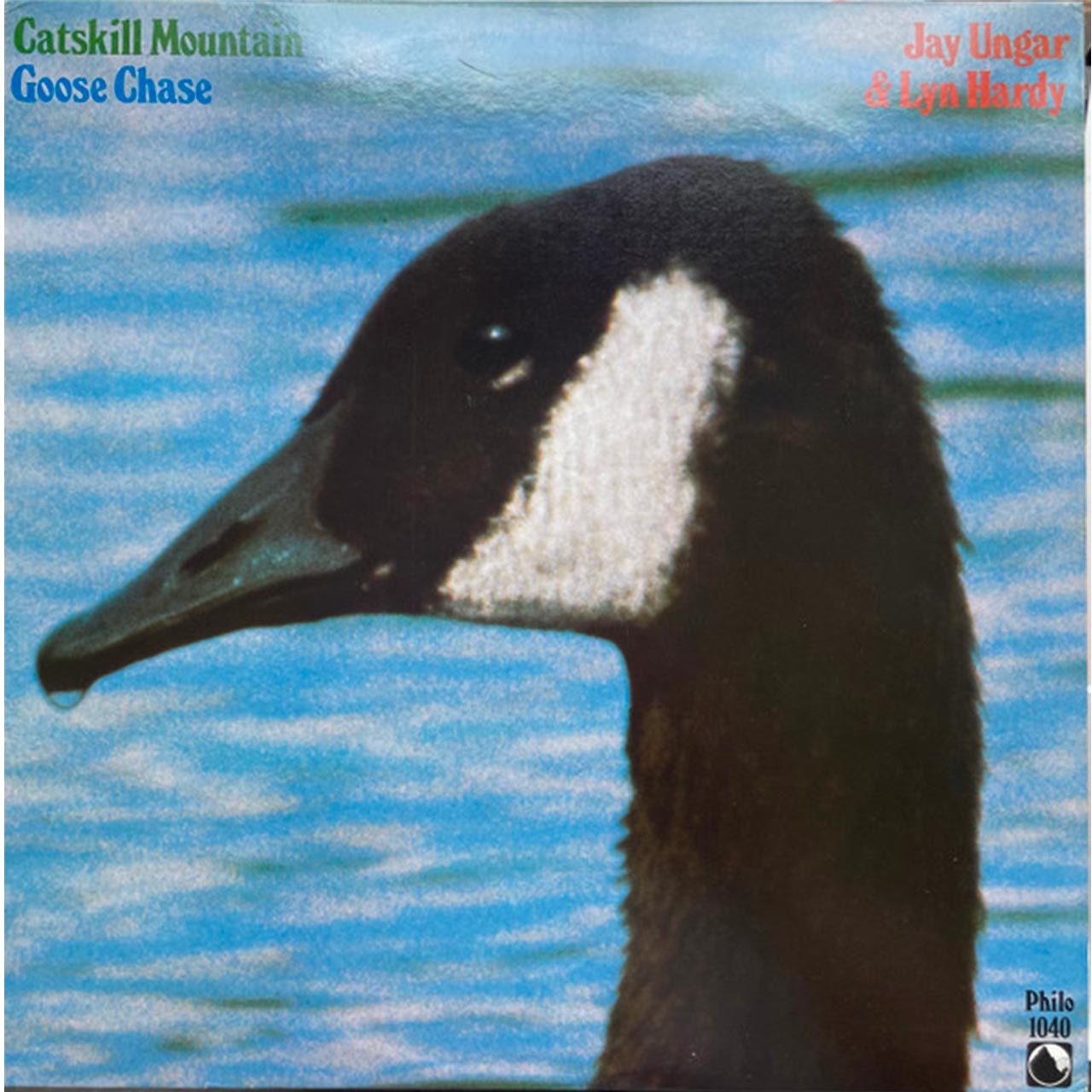 Jay Ungar – Catskill Mountain Goose Chase cover album