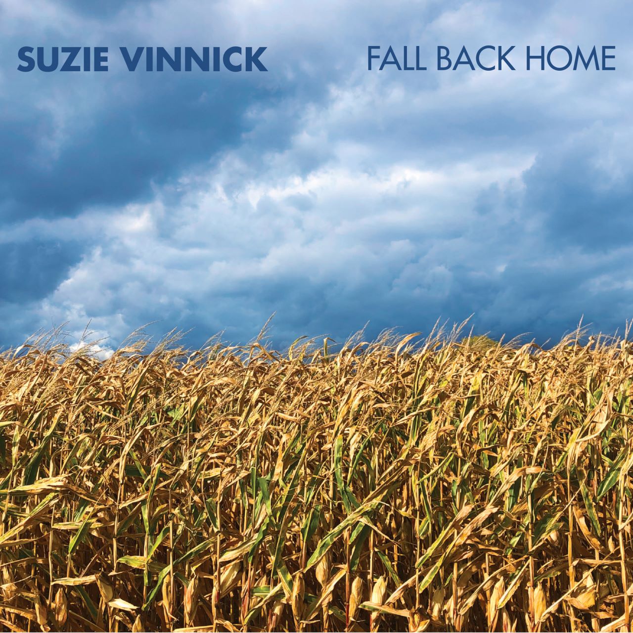 Recensione album Suzie Vinnick – “Fall Back Home” a cura di Remo Ricaldone per il sito Thelongjourney, 2023