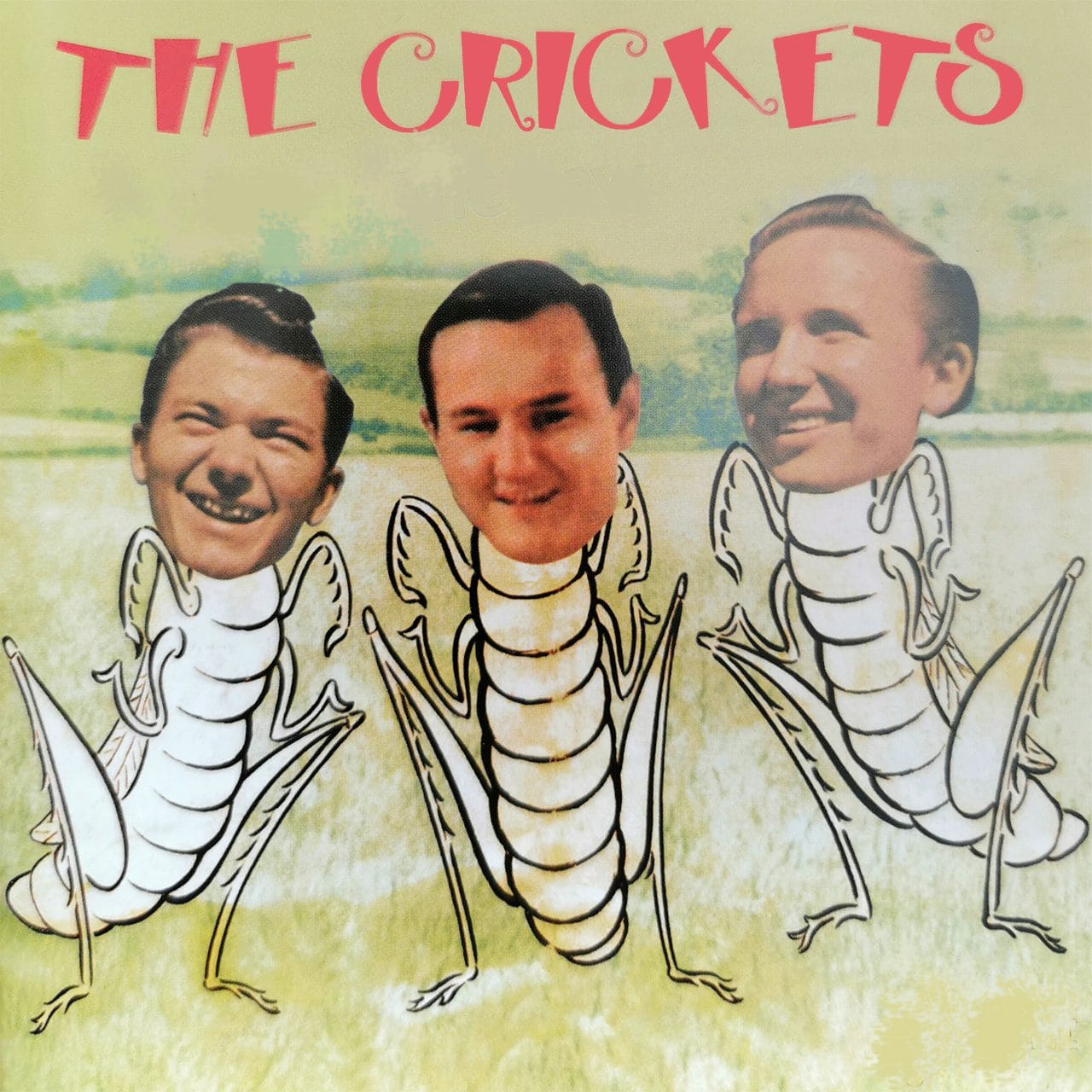 Crickets