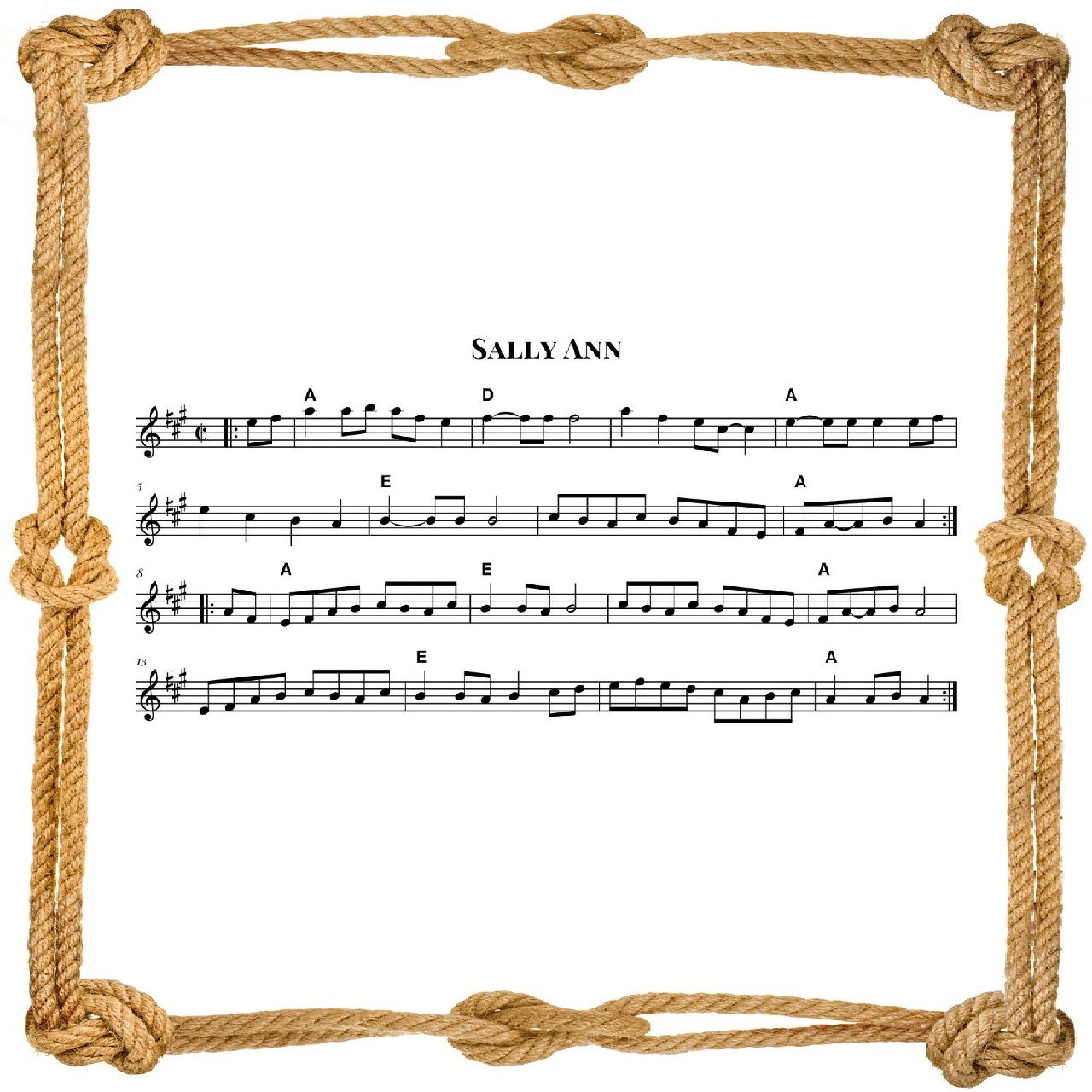 Sally Ann (Fiddle Tune)