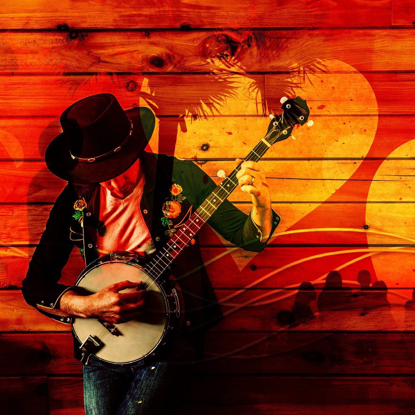 Storia del five string banjo