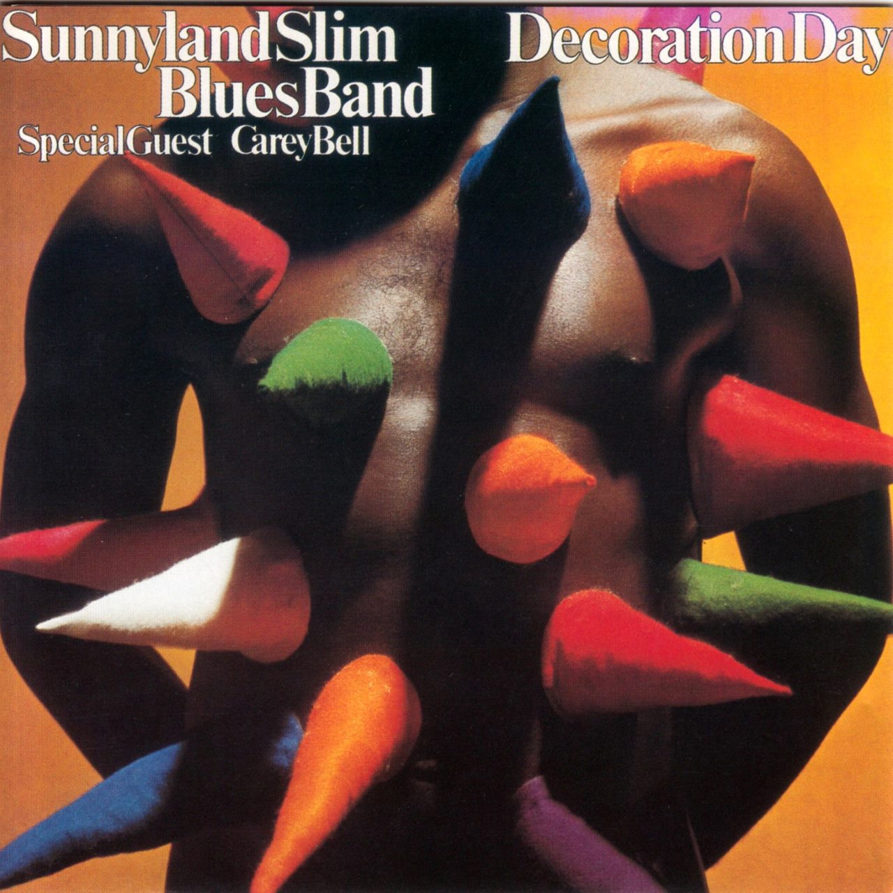 Sunnyland Slim Blues Band – Decoration Day cover album