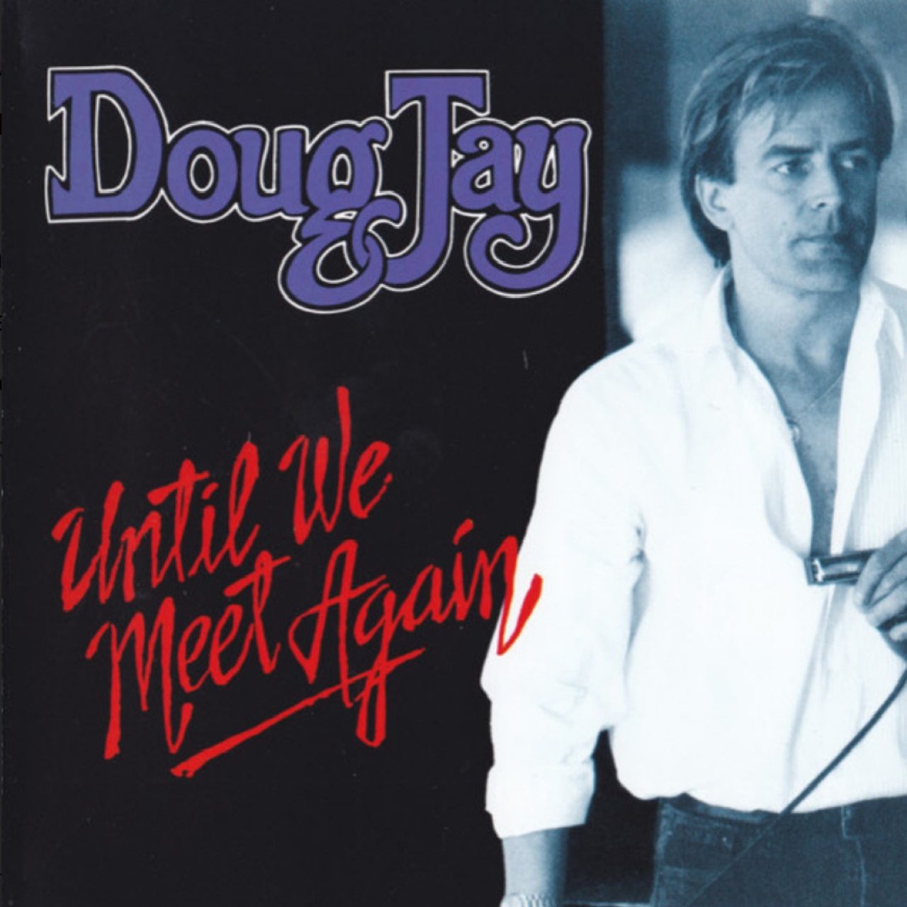 Doug Jay – Until We Meet Again cover album