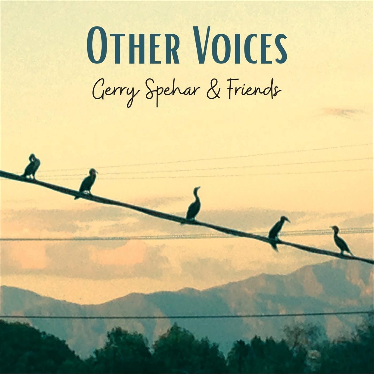 Gerry Spehar & Friends – Other Voices cover album