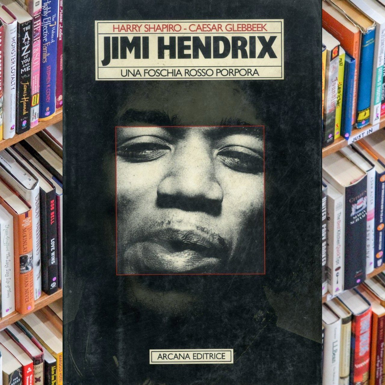 Harry Shapiro, Caesar Glebbeck – Jimi Hendrix. Una Foschia Rosso Porpora cover book