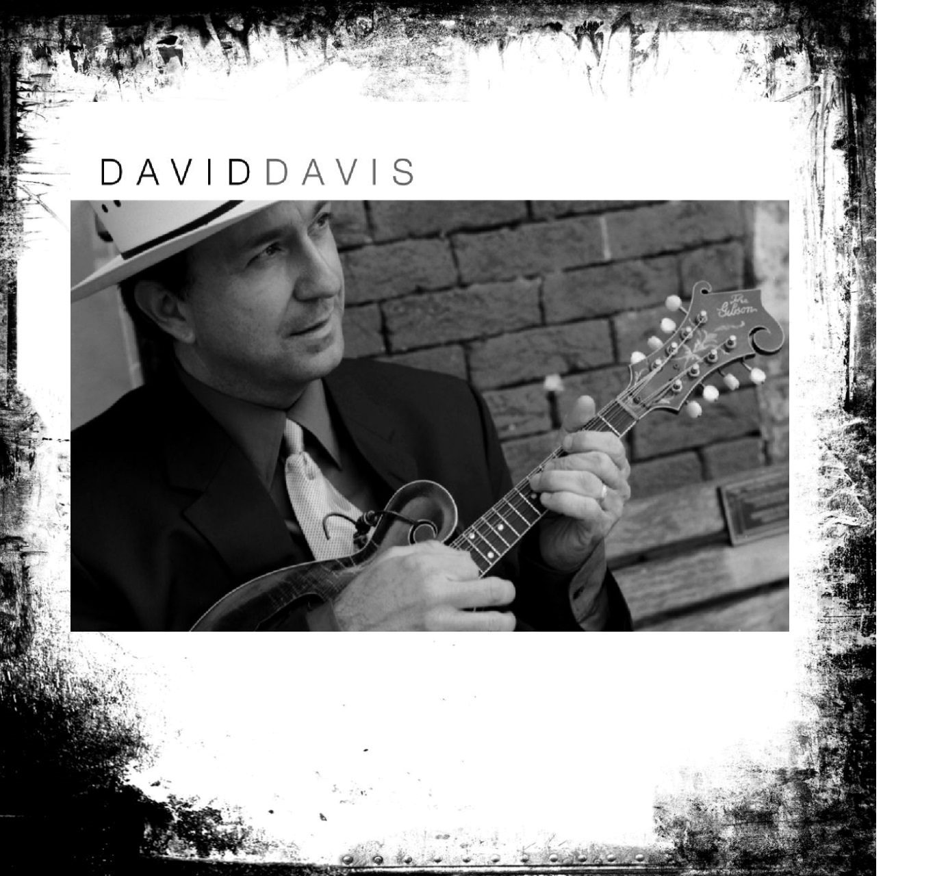 David Davis