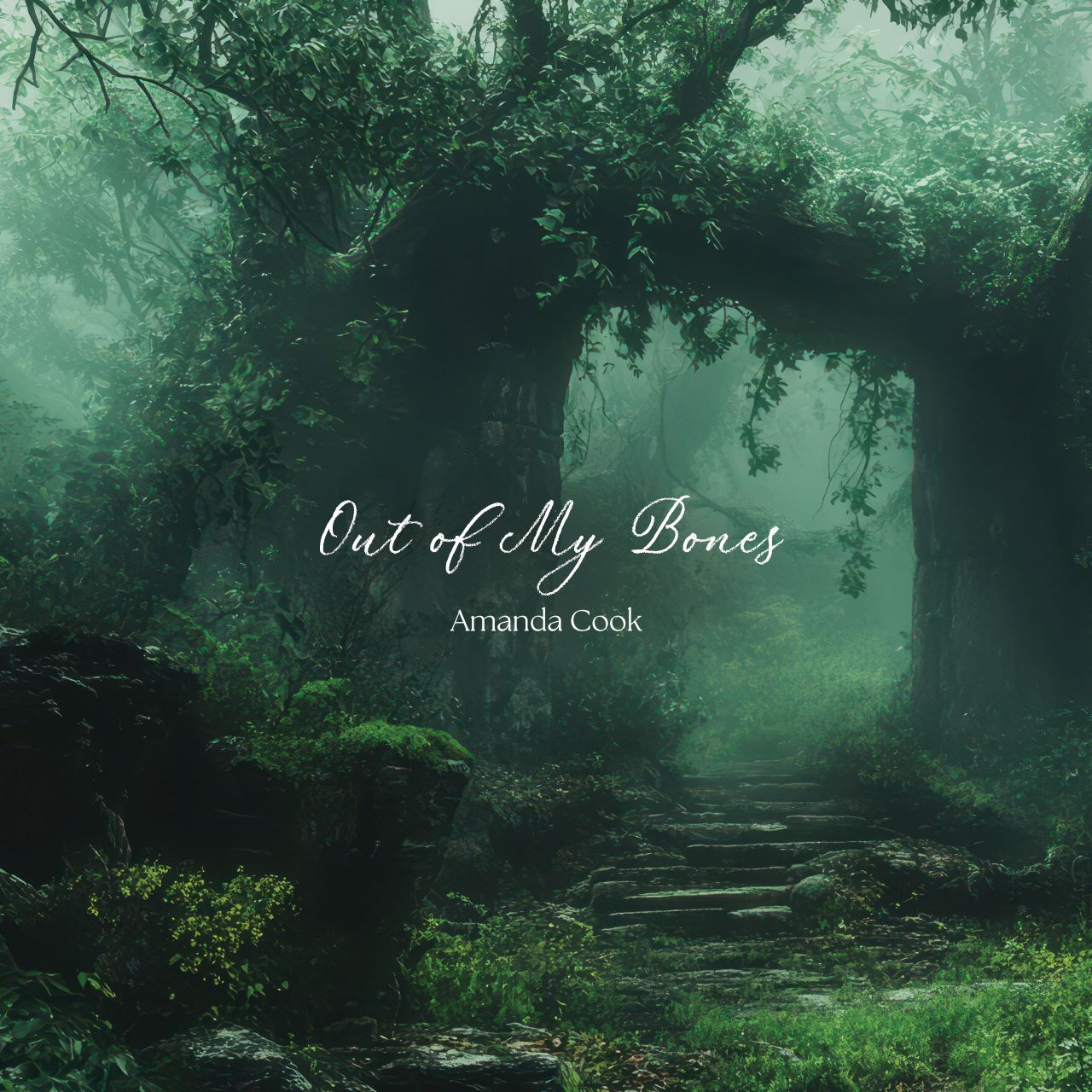Amanda Cook - Out My Bones cover album