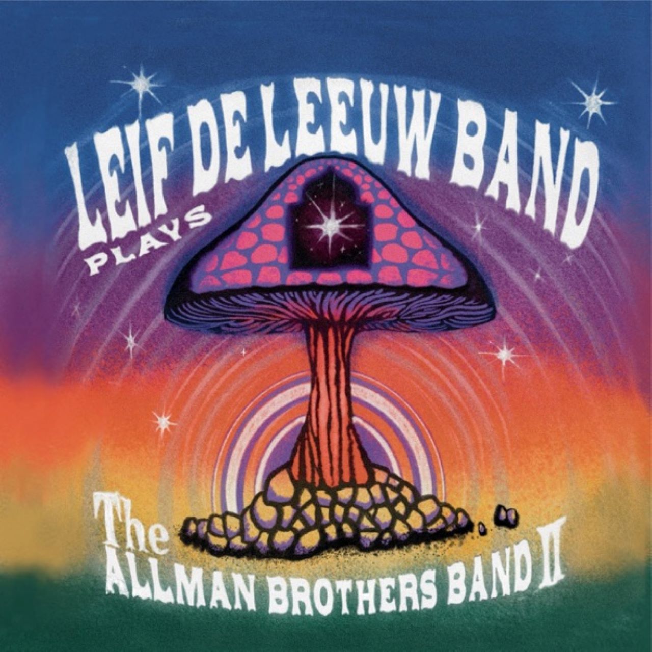 Leif De Leeuw - Plays The Allman Brothers Band II cover album